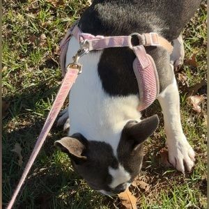 Meet your Posher, Nicolette